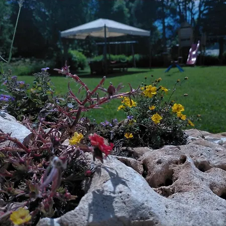 Hotel Flora Alpina-3